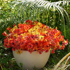 Artificial Flowers for Outdoor, UV Resistant Fake Silk Flowers, Realistic Faux Plants for Outside Indoor Porch Patio Window Box Planter Home Decor (16, Fall OrangeRed Yellow)