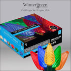 Wintergreen Lighting 25 C9 Multicolor LED Christmas Lights, 17 Ft – Outdoor C9 Christmas Lights for Holiday, Party, and Yard Decor