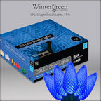 Wintergreen Lighting C9 Blue Christmas Lights, 17 ft LED Outdoor String Light Set, 25 Bulbs – Indoor/Outdoor Holiday Decor