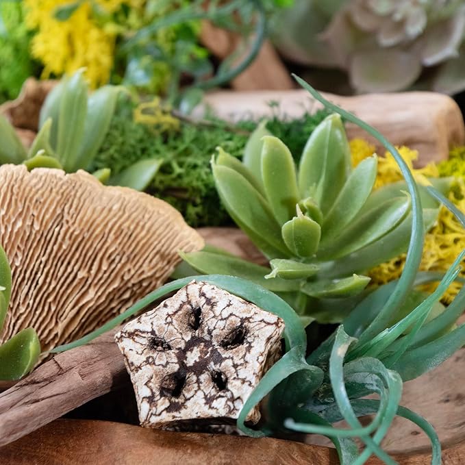 ANDALUCA 20 oz Succulent, Moss & Crystal Fragrance Potpourri with Scents of Sandalwood, Moss, Eucalyptus & Teakwood Includes Fragrance Vial (Mossy Woods)