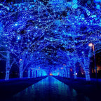 66Ft 200LED Blue Christmas Lights Plug in,Connectable Christmas Tree Lights,8 Modes String Lights Indoor Outdoor for Halloween Tree Party Bedroom Garden Decor (Clear Wire)