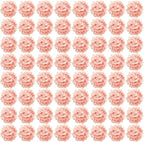Auihiay 64 PCS Full Hydrangea Flowers, Silk Hydrangea Artificial Flowers Heads with Stems, Artificial Flowers for Wedding, Garden, Baby Shower, Party, Outdoor Indoor Decoration (Light Peach)