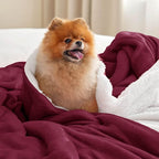 Bedsure GentleSoft Sherpa Fleece Blankets Queen Size for Bed - Thick and Warm Throw for Girls and Women, Soft Fuzzy Plush Queen Christmas Blanket for Winter, Burgundy, 90x90 Inches