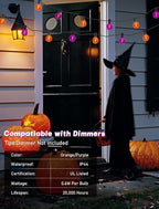 SUNSGNE G40 LED Outdoor Halloween String Lights 25FT Globe String Lights with 27 LED Shatterproof Clear Orange Purple Lights(2 Spare) for Patio Balcony Backyard Pergola Decor