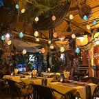 Vigdur Multicolor Outdoor String Lights with 10 Bulbs Connectable Waterproof, Indoor Outdoor Patio Light for Party Wedding Bedroom Cottagecore Decor