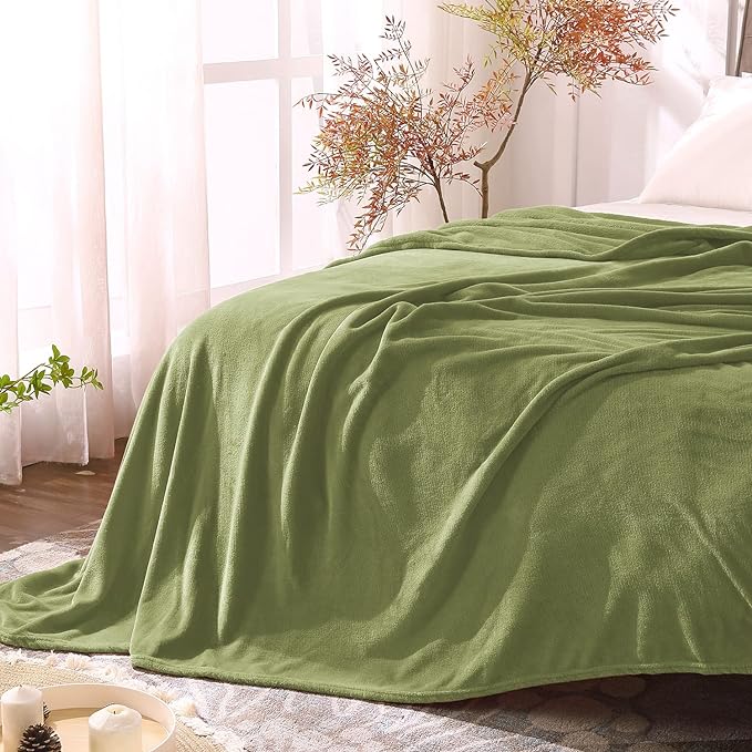 BEDELITE Fleece Blanket Twin Size Sage Green Throw Blanket for Couch & Bed, Luxury Plush Cozy Fuzzy Blanket 60x80 inches, Super Soft Warm Lightweight Throw Blanket for Travel Camping