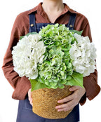 2Green+2White Real Touch Vintage Artificial Hydrangeas, 21" Faux Hydrangea Flowers for Wedding Bouquet Decoration,Fake Hydrangea Silk Flowers for Christmas Centerpieces Tables Party Home