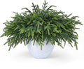 36 Pcs Christmas Greenery Pines Branch Pine Branches Artificial Green Pine Stem - Real Touch for Vase DIY Crafts Flower Arrangement Home Indoor Christmas Decor(18 Inch)