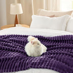 Bedsure GentleSoft Purple Fleece Blanket for Couch - Cozy Soft Blankets for Women, Cute Small Throws for Girls, 60x80 Inches
