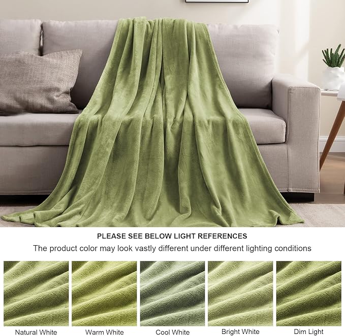 BEDELITE Fleece Blanket Twin Size Sage Green Throw Blanket for Couch & Bed, Luxury Plush Cozy Fuzzy Blanket 60x80 inches, Super Soft Warm Lightweight Throw Blanket for Travel Camping