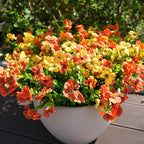 Artificial Flowers for Outdoor, UV Resistant Fake Silk Flowers, Realistic Faux Plants for Outside Indoor Porch Patio Window Box Planter Home Decor (16, Orange Yellow)