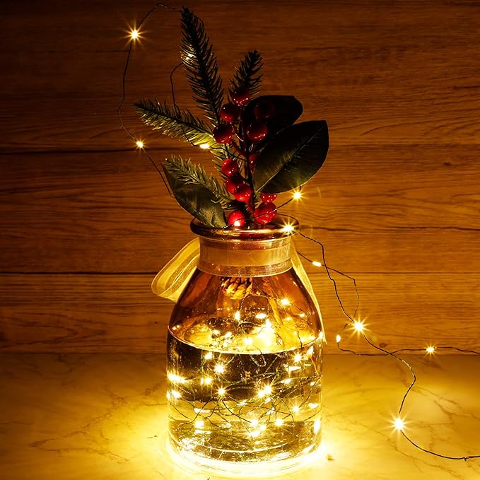 Twinkle Star, 4 Inches Indoor Outdoor, LED String Light Dimmable Control Starry Green Wire Lights Home Lighting Bedroom Wedding X-mas Party Decoration, Warm White