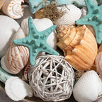 ANDALUCA Ocean Plumes Scented Seashell Potpourri Made in California Large 20 oz Bag Fragrance Vial Scents of Orange, Lime, Bergamot, Lily, Rose and Tonka Coastal Home Decor