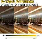 EMITEVER COB LED Strip Lights Warm White, 3000K Tape Light 16.4FT Premium High Density, DC 24V, 300+Lumens/ft,2400LEDs/Spool, Ra 90+, 3W/ft, UL Listed 5 Year Warranty (Power Supply Sold Separately)
