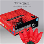 Wintergreen Lighting 25 Red C7 Christmas Lights, 17 Ft – Red LED String Lights for Outdoor Holiday Decor, Valentine's Day and Party Lighting
