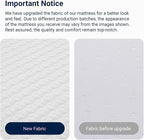 Avenco 6 Inch Full Size Mattress, Memory Foam Full Mattress in a Box for Comfort Sleep & Pressure Relief, CertiPUR-US Certified Medium Firm Full Mattresses