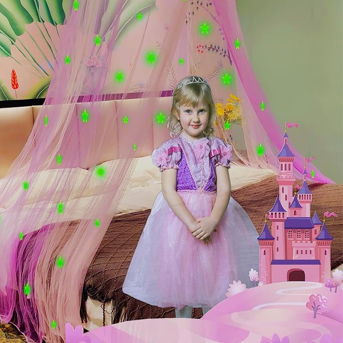 Eimilaly Two-Tone Bed Canopy Stars Glow in The Dark Pink Purple, Mosquito Net Bed Canopy for Girls Room Decor, Single Door