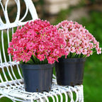 AGIRL 24 Bundles Artificial Flowers for Outdoor,No Fade Fake Plastic Flowers Faux Plants for Decoration Hanging Planters Indoor Outside Garden Porch Window Box Home Wedding Farmhouse