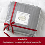 Mellanni Twin Sheets Set - 3 PC Iconic Collection Bedding - Hotel Luxury, Extra Soft, Cooling Bed Sheets - Wrinkle, Fade, Stain Resistant (Twin, Striped Gray/Silver)