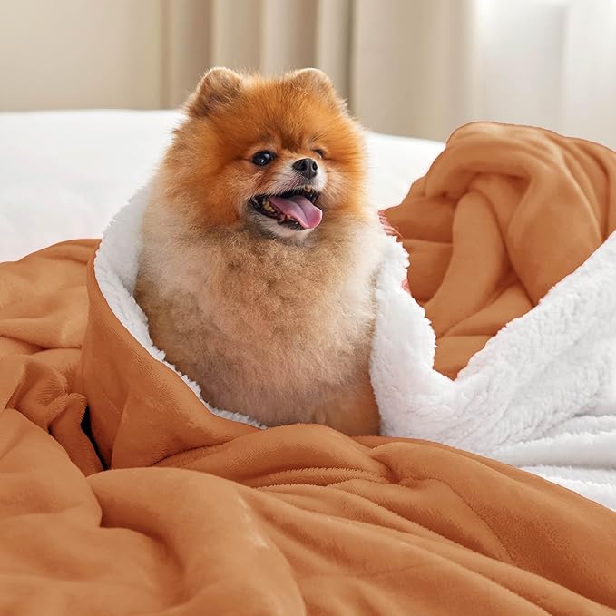 Bedsure GentleSoft Sherpa Fleece Throw Blanket for Couch - Thick and Warm, Soft Fuzzy Plush Throw Blanket for Winter, Burnt Orange, 50x60 Inches
