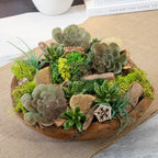 ANDALUCA 20 oz Succulent, Moss & Crystal Fragrance Potpourri with Scents of Sandalwood, Moss, Eucalyptus & Teakwood Includes Fragrance Vial (Mossy Woods)