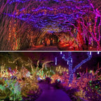 Albelt Smart Color Changing Christmas Lights, Christmas Decoration Lights with Remote & Timer, 66 FT 200 LED RGB Twinkle Fairy String Light Waterproof for Indoor Outdoor Halloween Xmas Tree Decor