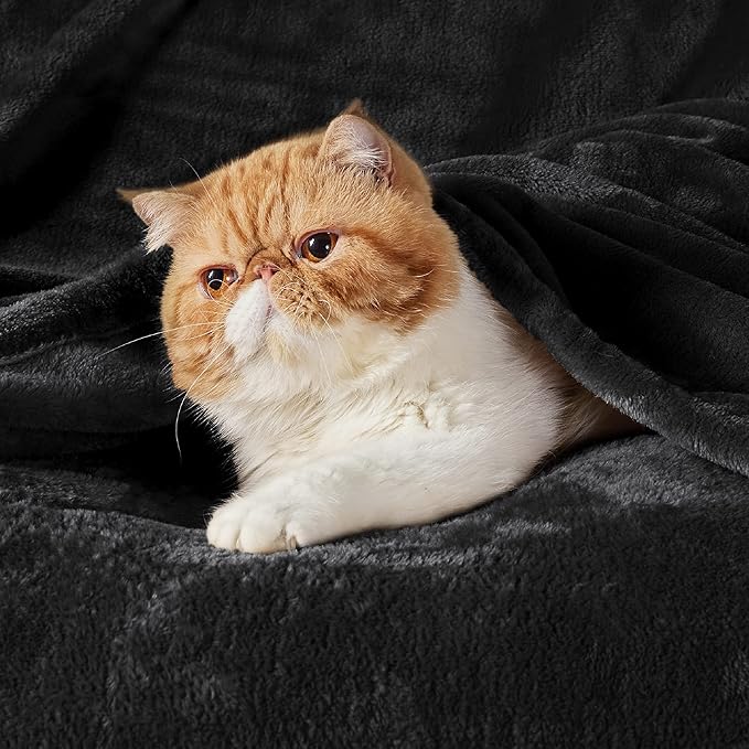 Bedsure GentleSoft Fleece Blanket Twin Size Black - 300GSM Lightweight Plush Fuzzy Cozy Soft Warm Blanket for Bed, Sofa, Couch, Travel, Camping, 60x80 inches