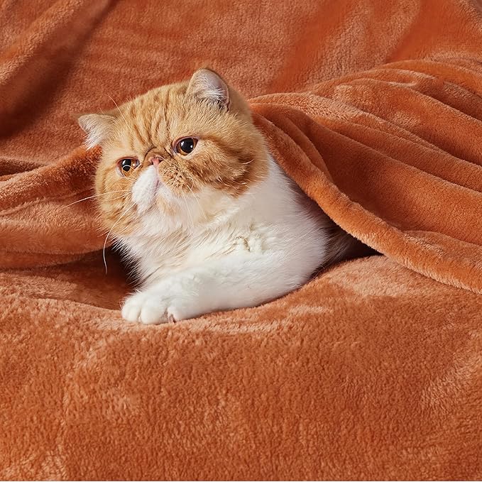 Bedsure GentleSoft Fleece Blanket Twin Size Burnt Orange - 300GSM Lightweight Plush Fuzzy Cozy Soft Warm Blanket for Bed, Sofa, Couch, Travel, Camping, 60x80 inches