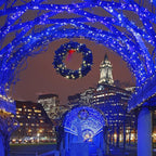 HOME LIGHTING 66ft Christmas Decorative Mini Lights, 200 LED Green Wire Fairy Starry String Lights Plug in, 8 Lighting Modes, for Indoor Outdoor Xmas Tree Wedding Party Decoration (Blue)