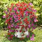 Artificial Hanging Flowers for Outdoors Faux Plants for Spring Summer Decoration,6 Bundles UV Resistant Realistic Silk Flowers Indoor Outside Garden Porch Patio Balcony Yard Farmhouse