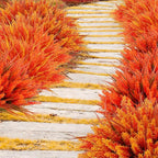 Geegoods 24 Bundles Artificial Fall Flowers Outdoor – Faux Lavender Flowers with Monkey Grass UV Resistant Plastic Faux Plants for Garden Porch Patio Home Decor, Autumn Color