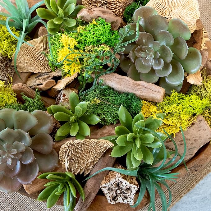 ANDALUCA 20 oz Succulent, Moss & Crystal Fragrance Potpourri with Scents of Sandalwood, Moss, Eucalyptus & Teakwood Includes Fragrance Vial (Mossy Woods)