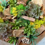 ANDALUCA 20 oz Succulent, Moss & Crystal Fragrance Potpourri with Scents of Sandalwood, Moss, Eucalyptus & Teakwood Includes Fragrance Vial (Mossy Woods)