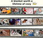 Bedsure GentleSoft Fleece Blanket Twin Size Grey - 300GSM Lightweight Plush Fuzzy Cozy Soft Warm Blanket for Bed, Sofa, Couch, Travel, Camping, 60x80 inches