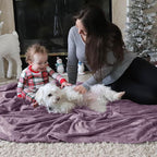 Bedsure GentleSoft Fleece Throw Blanket for Couch Fog Purple - Lightweight Plush Fuzzy Cozy Soft Blankets and Throws for Sofa, 50x60 inches