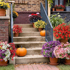 36 Bundles Artificial Flowers for Outdoor Indoor Garden Home Decoration, Look Real for Front Door Porch Patio Yard Balcony, Faux Flower Daisy with Eucalyptus Leaves Fake Plants, 6 Colors