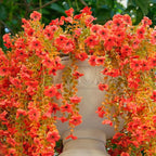 12 Pcs Artificial Hanging Mums Flowers Outdoor, Orange UV Resistant Fake Hanging Fall Plants for Outdoor Planter Patio Front Door Window Autumn Decoration (12, Orange)