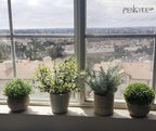 4 Pack Small Fake Plants, Artificial Plants Indoor for Home Decor, Small Faux Plants Indoor, Fake Plants in White Pot for Bathroom Bedroom Kitchen Office Farmhouse Room Shelf Decor