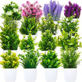 Mimorou 16 Pcs Small Fake Plants Mini Artificial Potted Plants Faux Pot Flowers Indoor Plastic Eucalyptus Greenery for Home Bathroom Living Room Office Decor
