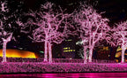 612 Vermont 100 Pink Christmas Lights on a White Wire String, UL Approved, Indoor/Outdoor Use, 18’ of Lighted Length, 20’ of Total Length