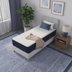 NapQueen Twin-XL Size, 12 Inch New Victoria Hybrid Cooling Gel Infused Pocket Spring and Memory Foam Mattress, Bed in a Box, CertiPUR-US Certified