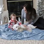 Bedsure GentleSoft Fleece Bed Blankets Queen Size Light Blue - Soft Lightweight Plush Fuzzy Cozy Luxury Blanket Microfiber, 90x90 inches