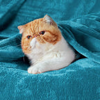 Bedsure GentleSoft Bedding Fleece Blanket for Girls and Boys - Soft Cozy Cute Small Throw Blankets for Travel, 43x55 Inches,Teal Blue