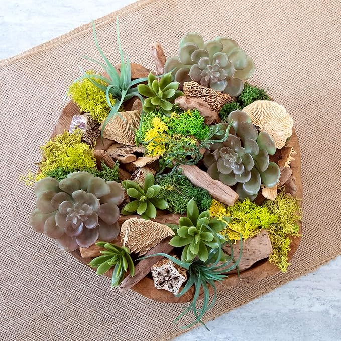 ANDALUCA 20 oz Succulent, Moss & Crystal Fragrance Potpourri with Scents of Sandalwood, Moss, Eucalyptus & Teakwood Includes Fragrance Vial (Mossy Woods)