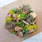ANDALUCA 20 oz Succulent, Moss & Crystal Fragrance Potpourri with Scents of Sandalwood, Moss, Eucalyptus & Teakwood Includes Fragrance Vial (Mossy Woods)