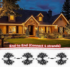 50 Feet C9 Bulb String Lights Outdoor Warm White Clear Christmas Lights Black Wire for Outdoor Patio Room Christmas Party Backyard Decoration, 50 Bulbs