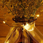 Twinkle Star, 4 Inches Indoor Outdoor, LED String Light Dimmable Control Starry Green Wire Lights Home Lighting Bedroom Wedding X-mas Party Decoration, Warm White