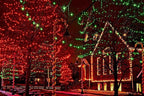 612 Vermont 100 Red Christmas Lights on a White Wire String, UL Approved, Indoor and Outdoor Use, 18’ of Lighted Length, 20’ of Total Length