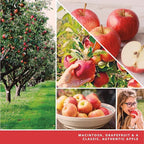Yankee Candle ScentPlug Refill, Macintosh (Pack of 2)