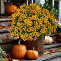 Artificial Fall Flowers for Outdoors Fake Mums - 16 Bundles Faux Plants Outside Greenery Boxwood No Fade Plastic Shrubs Decor Farmhouse Home Garden Thanksgiving (Yellow)